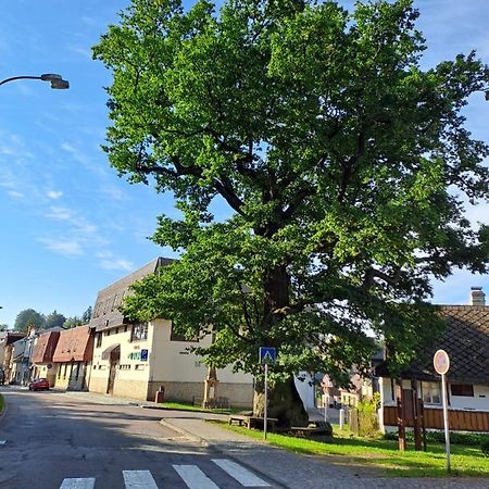 Apartmán U Dubu Jablonné nad Orlicí Bagian luar foto