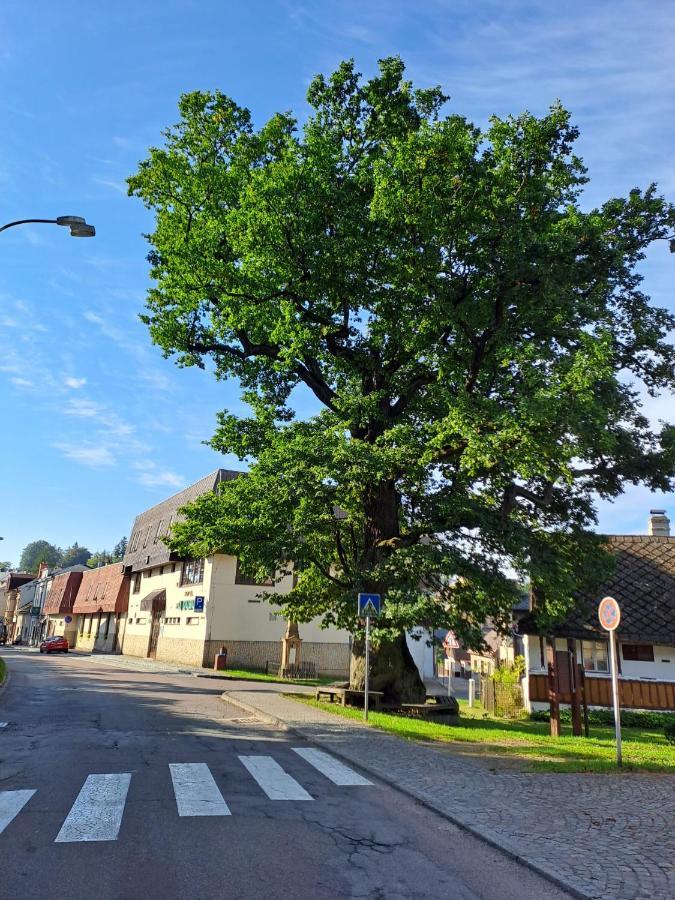 Apartmán U Dubu Jablonné nad Orlicí Bagian luar foto